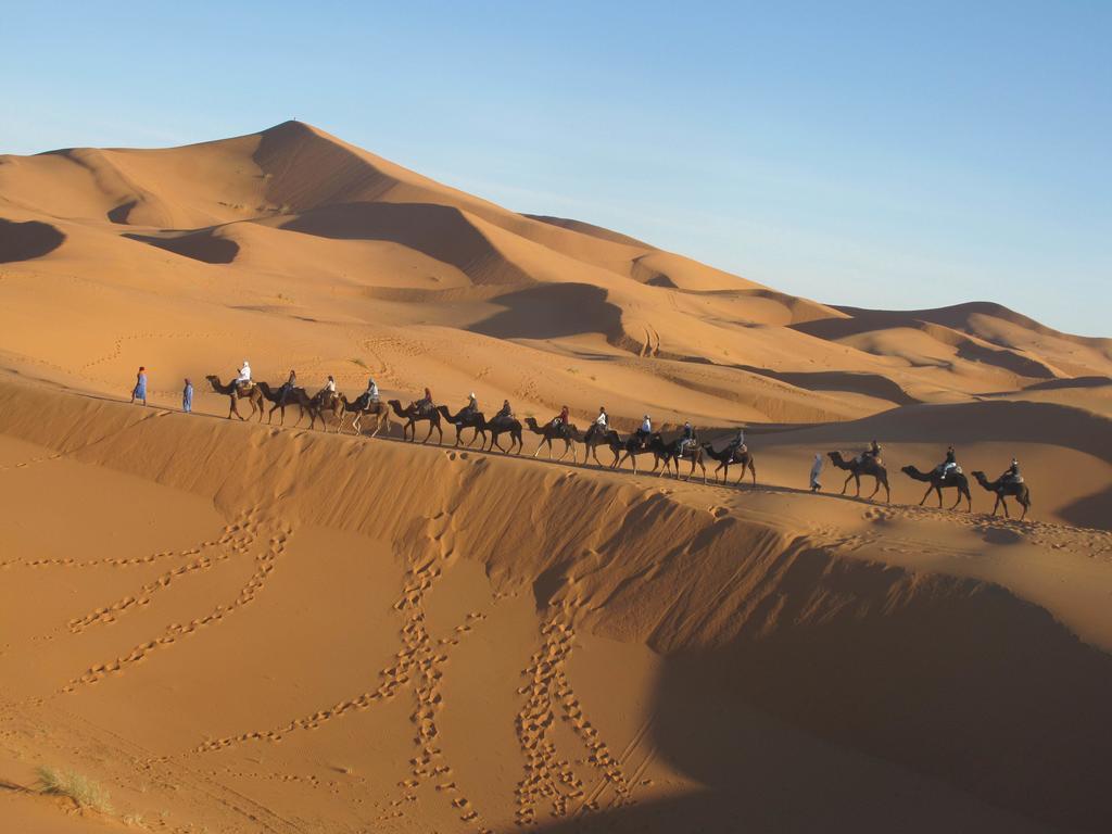 فندق Sahara Camel Tours Camp مرزوكة الغرفة الصورة