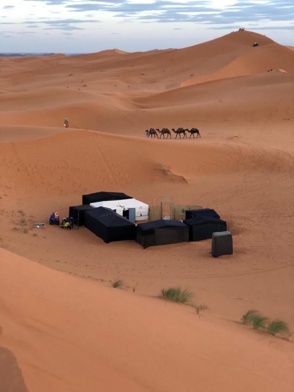 فندق Sahara Camel Tours Camp مرزوكة المظهر الخارجي الصورة