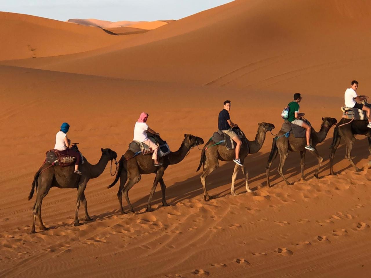 فندق Sahara Camel Tours Camp مرزوكة المظهر الخارجي الصورة
